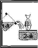 shab78.gif