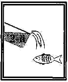 shab81.gif